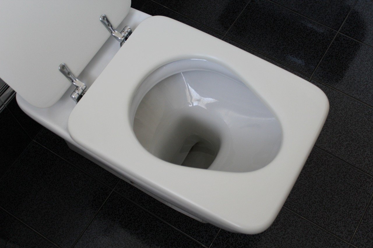 wc bouchés