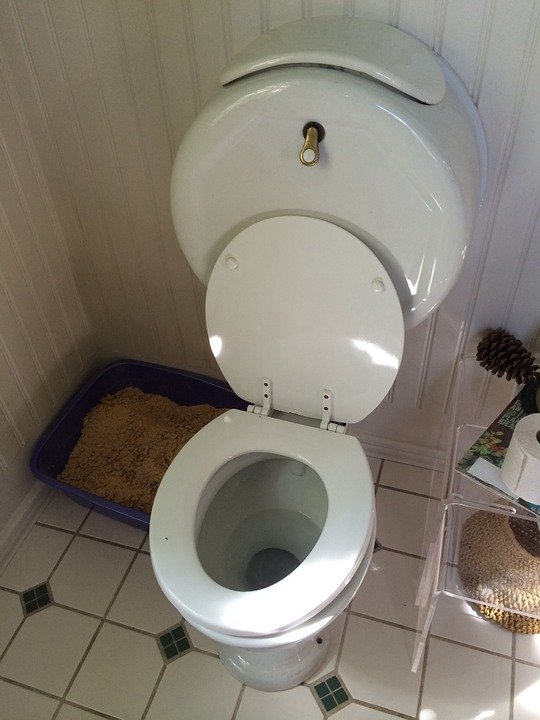 toilette